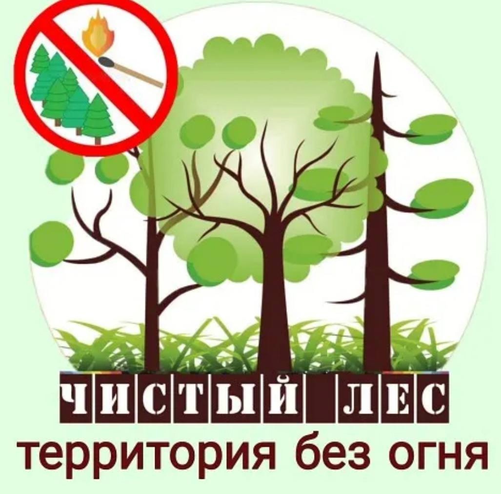 VNtHxOZROzvNBsrNEcN0oXoPC9VbR0c_PU_ceeNEUfF9XYPCqn-Y0IkNsOiTVYtazGZBd8hAZnexsGfB3JYUW2kM.jpg